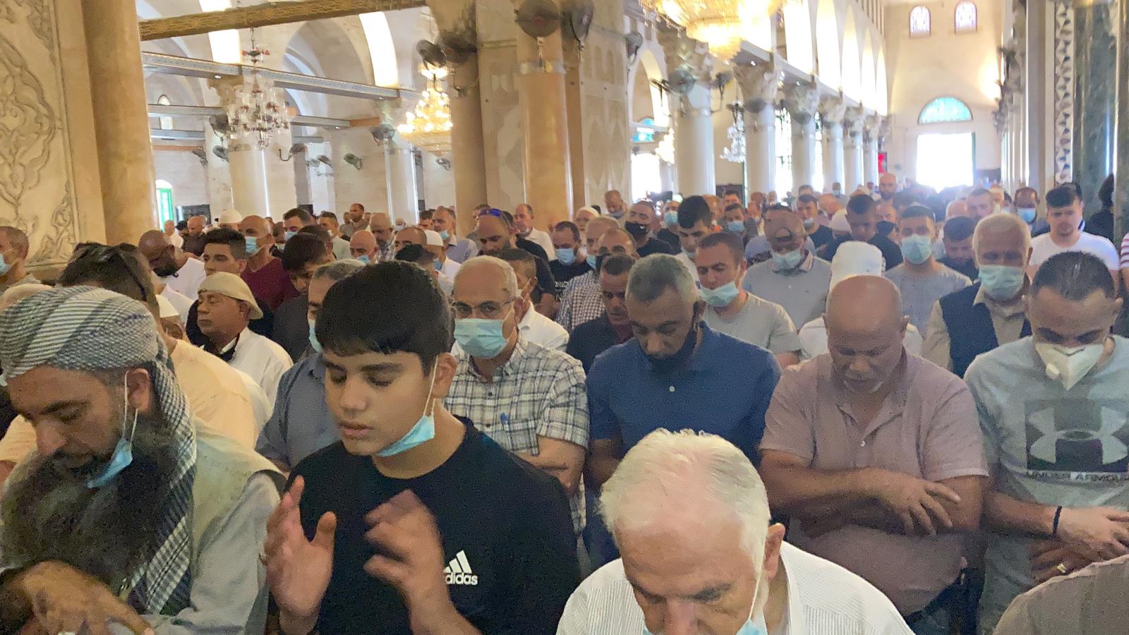 WhatsApp Image 2020-08-26 at 1.18.21 PM (2).jpeg.jpeg